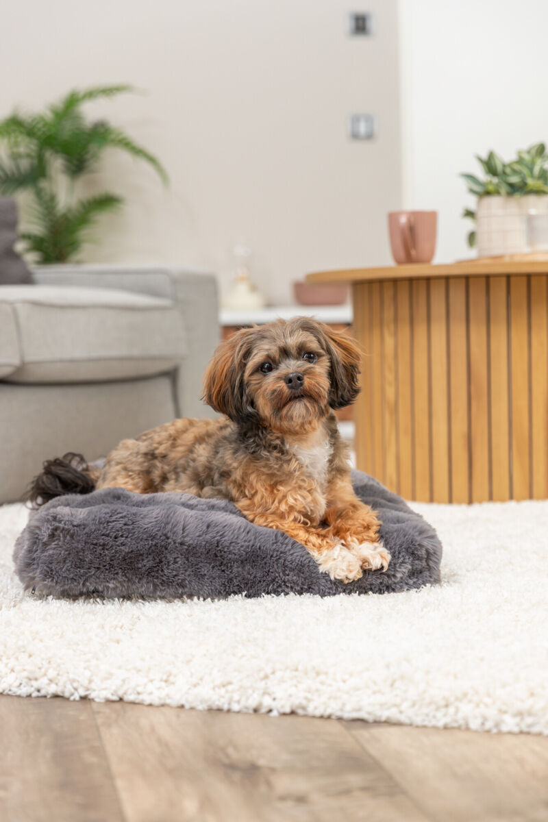 Trixie Hondenkussen Elli Donkergrijs