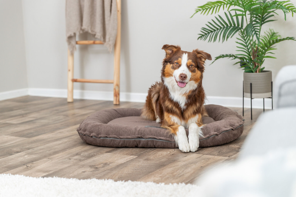 Trixie Vital Hondenkussen Lennox Ovaal Bruin