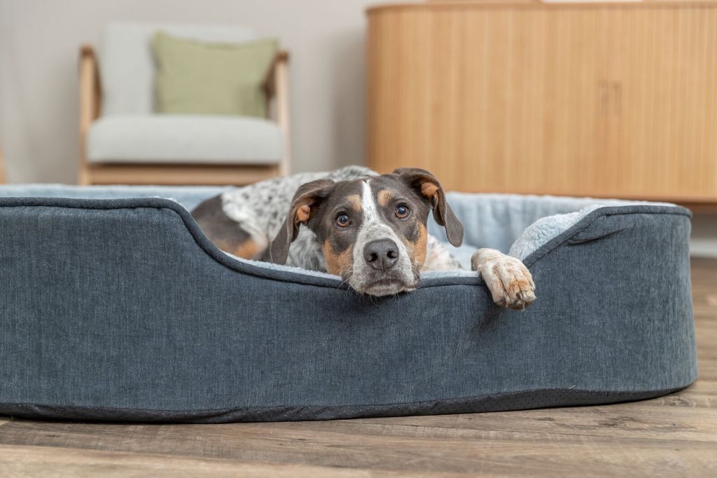 Trixie Vital Hondenmand Lino Soft Ovaal Grijs / Lichtgrijs