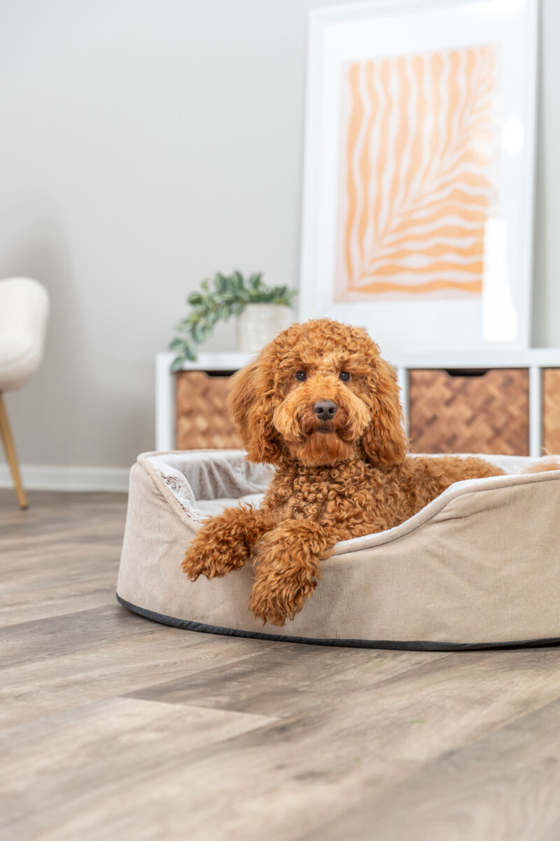 Trixie Vital Hondenmand Lino Soft Ovaal Beige / Creme