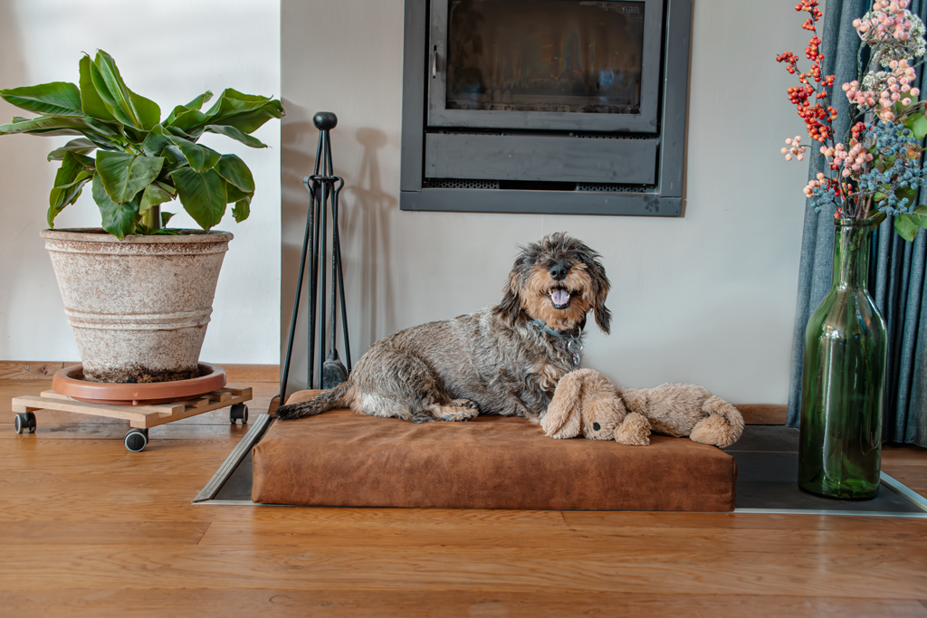 Let's Sleep Mellow Mattress Orthopedisch Kussen Cognac