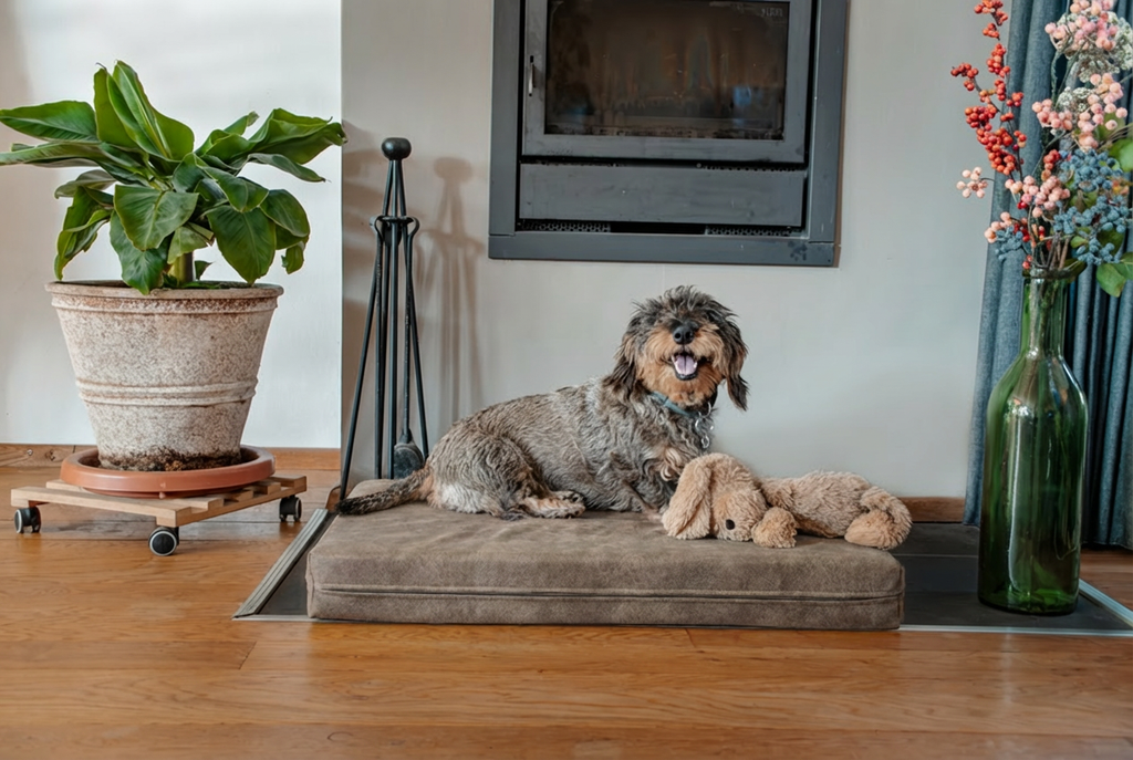 Let's Sleep Mellow Mattress Orthopedisch Kussen Taupe