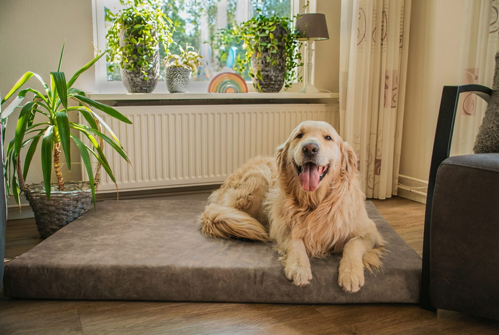 Let's Sleep Mellow Mattress Orthopedisch Kussen Taupe