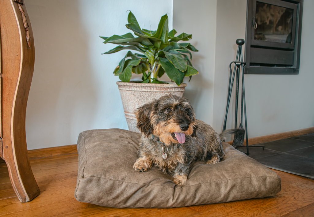 Let's Sleep Plush Pillow Hondenkussen Taupe