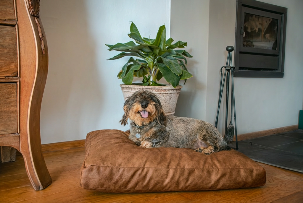 Let's Sleep Plush Pillow Hondenkussen Cognac