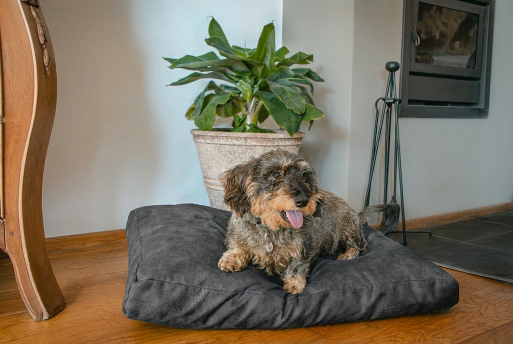 Let's Sleep Plush Pillow Hondenkussen Antraciet