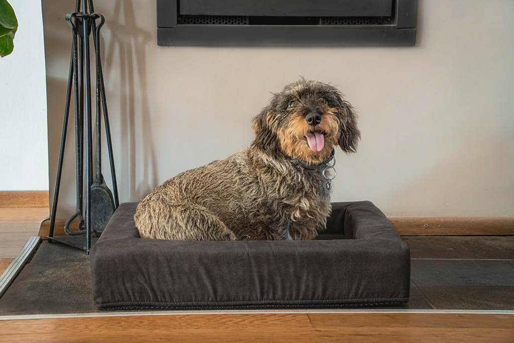 Let's Sleep Comfy Cushion Hondenmand Antraciet