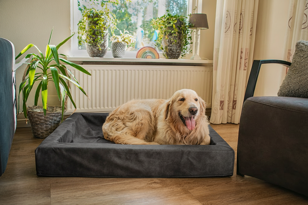 Let's Sleep Comfy Cushion Hondenmand Antraciet