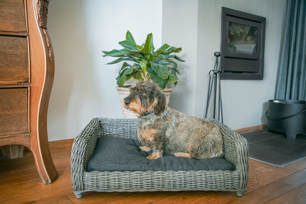 Let's Sleep Cozy Basket Hondenmand Antraciet