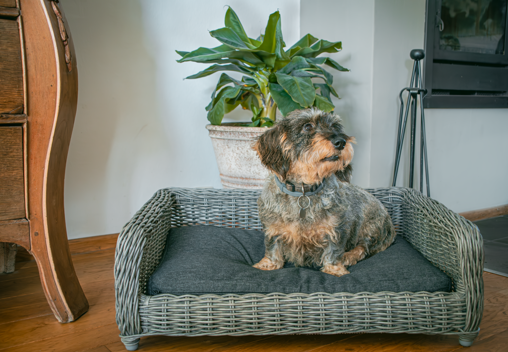 Let's Sleep Cozy Basket Hondenmand Antraciet